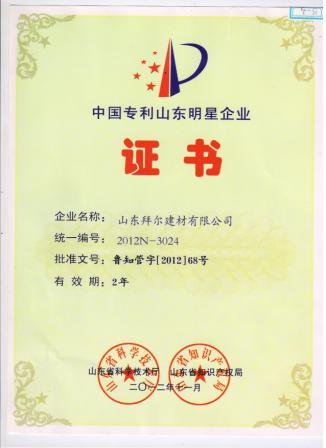 中国专利山东名牌证书.jpg