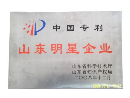 中国专利山东明星企业牌匾.jpg