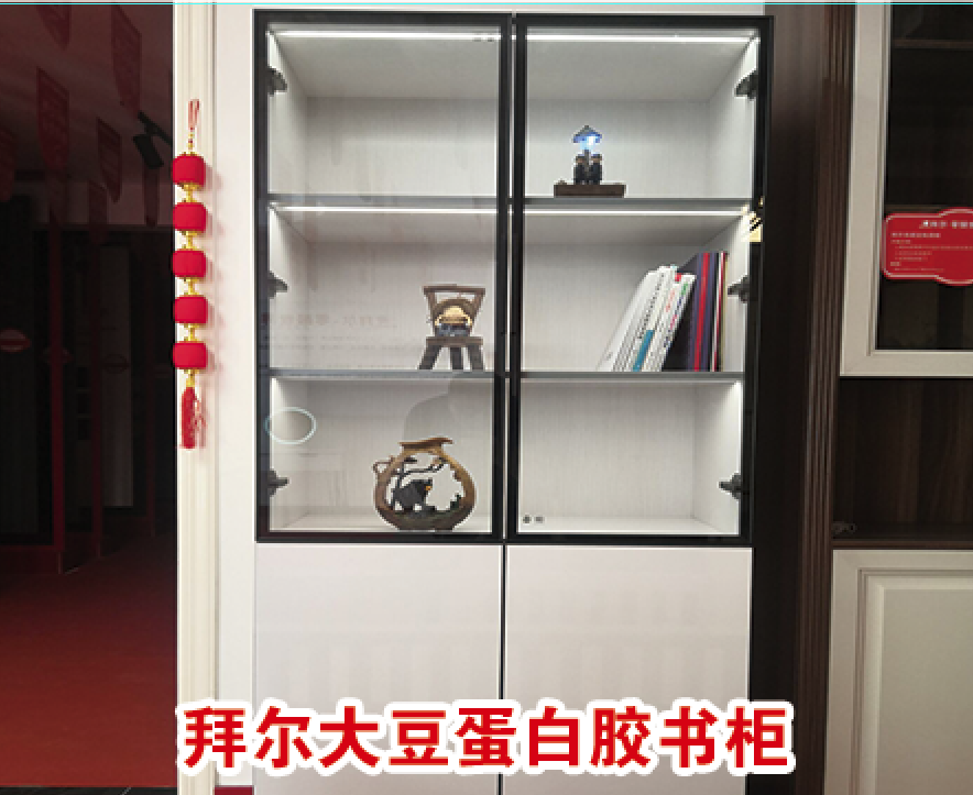 拜尔大豆蛋白胶成品书柜