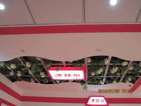 拜尔吊顶系统设计