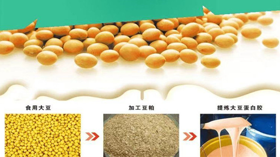 拜尔大豆蛋白胶.jpg