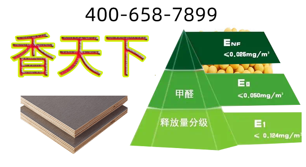 揭秘大豆蛋白胶木板，打造健康家居的绿色之选！